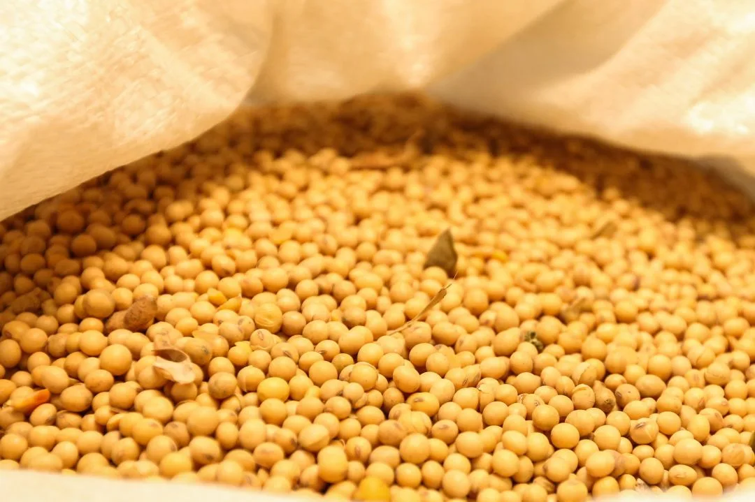Produção de soja no Brasil deve atingir novo recorde em 2026