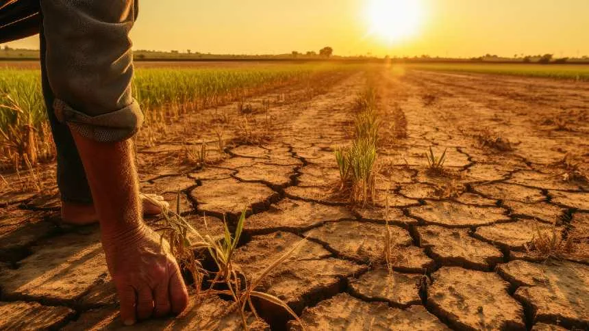 O novo ouro do agro não está na soja. Está na terra.