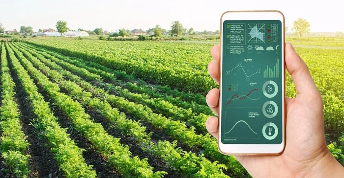 Hubs impulsionam crescimento de agtechs no Brasil