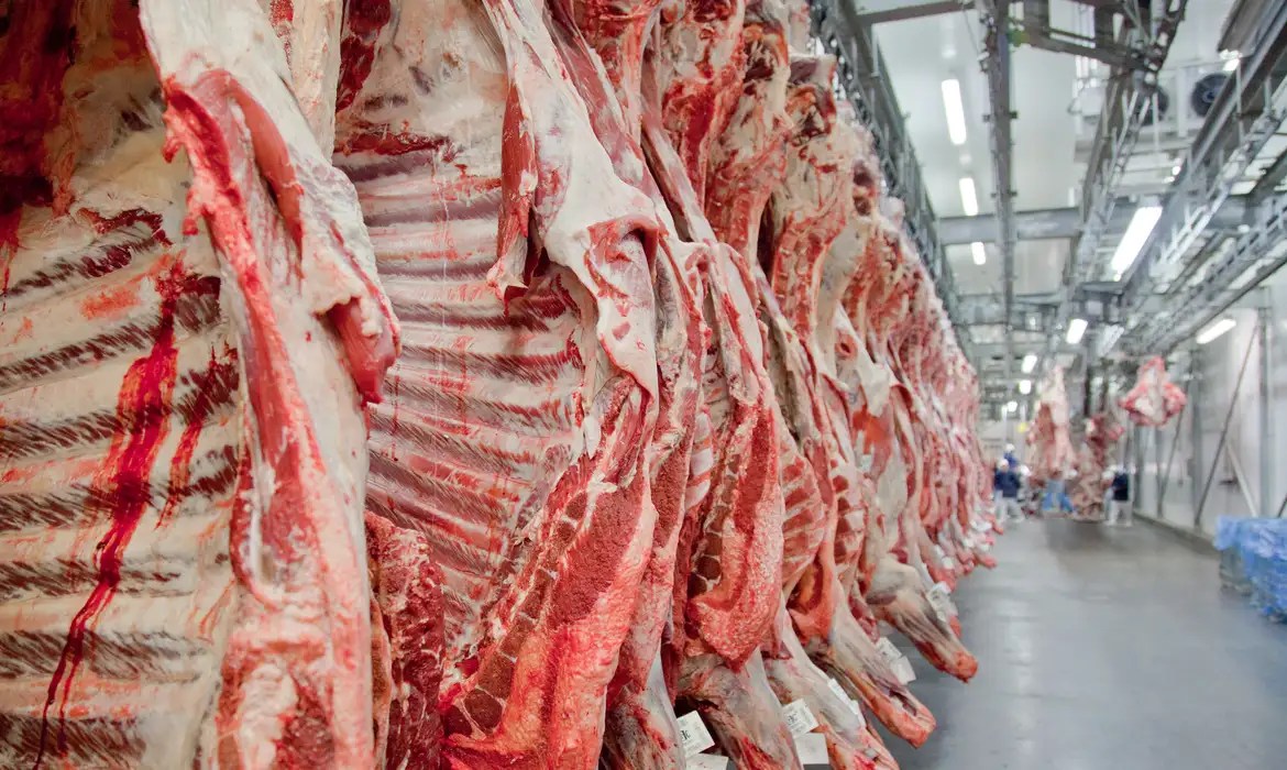 Brasil supera EUA e se torna o maior produtor mundial de carne bovina