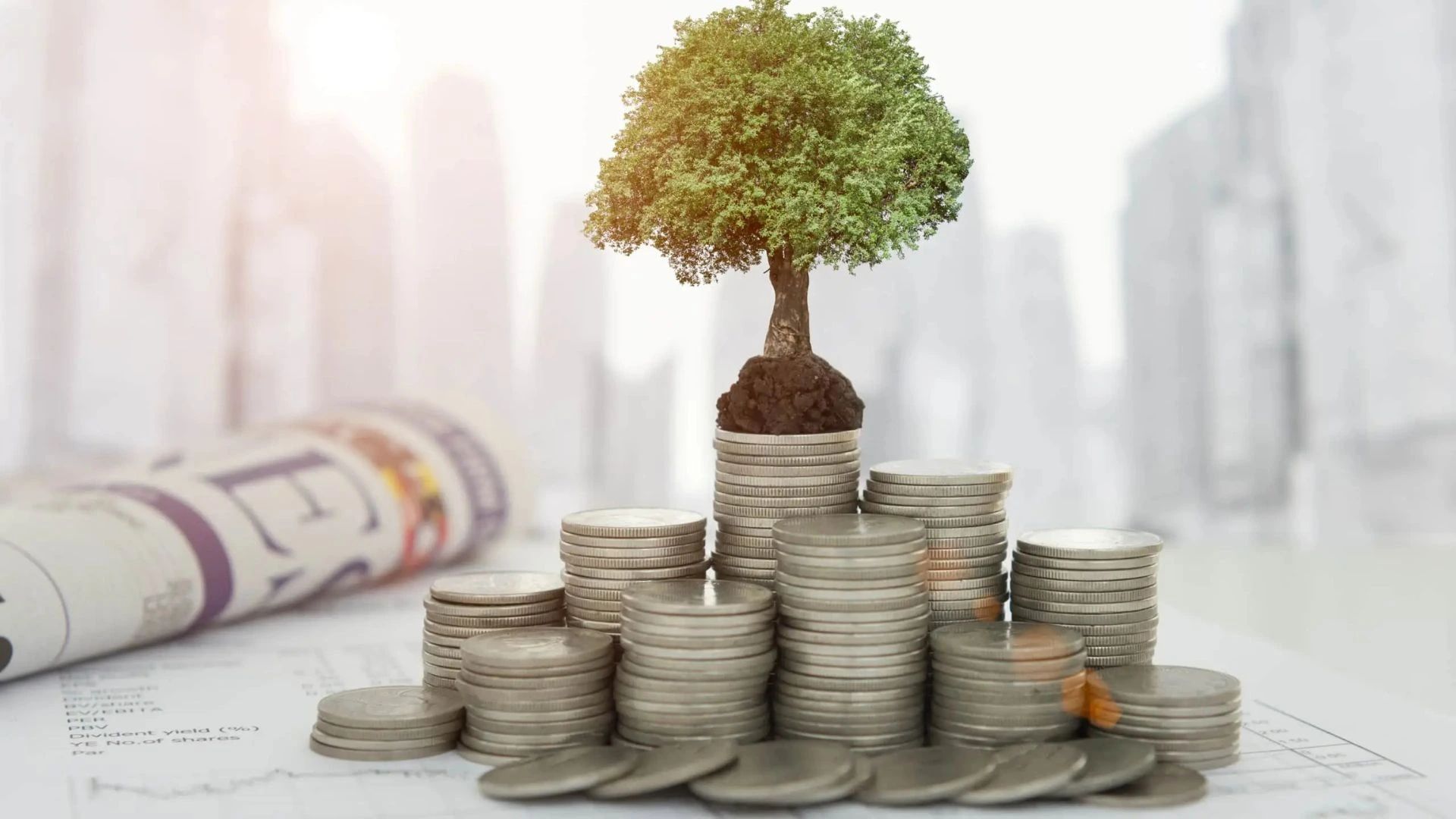 Eco Invest Brasil: Leilão do Tesouro viabiliza R$ 53 bilhões para projetos verdes