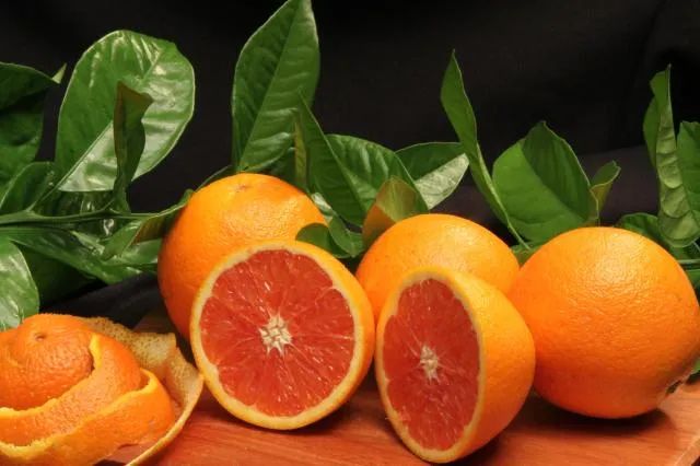 Safra de laranja 2025/26 é revista após clima seco em São Paulo e Minas