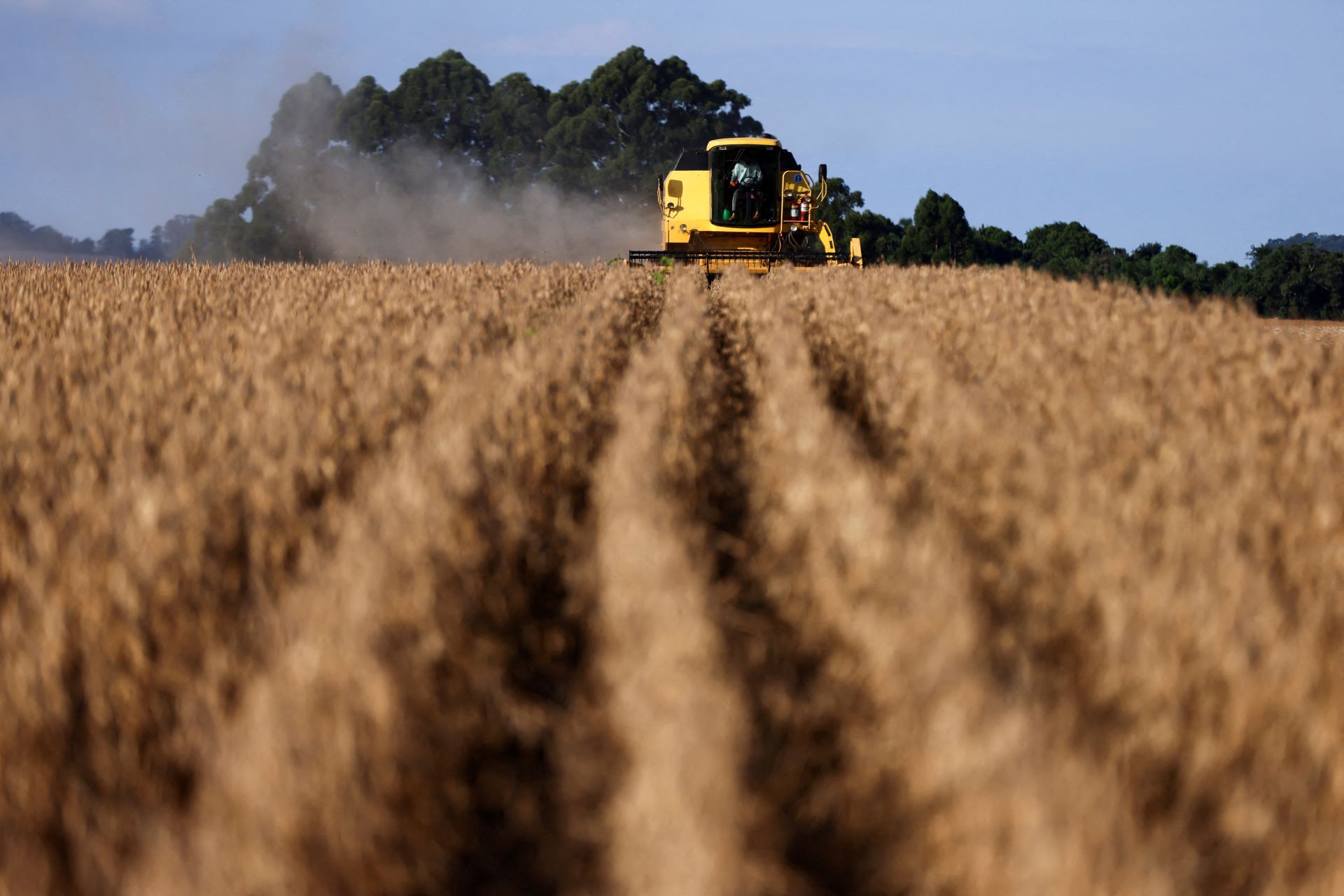 Recuperação judicial no agronegócio atinge recorde de 1.990 pedidos em 2025, diz Serasa